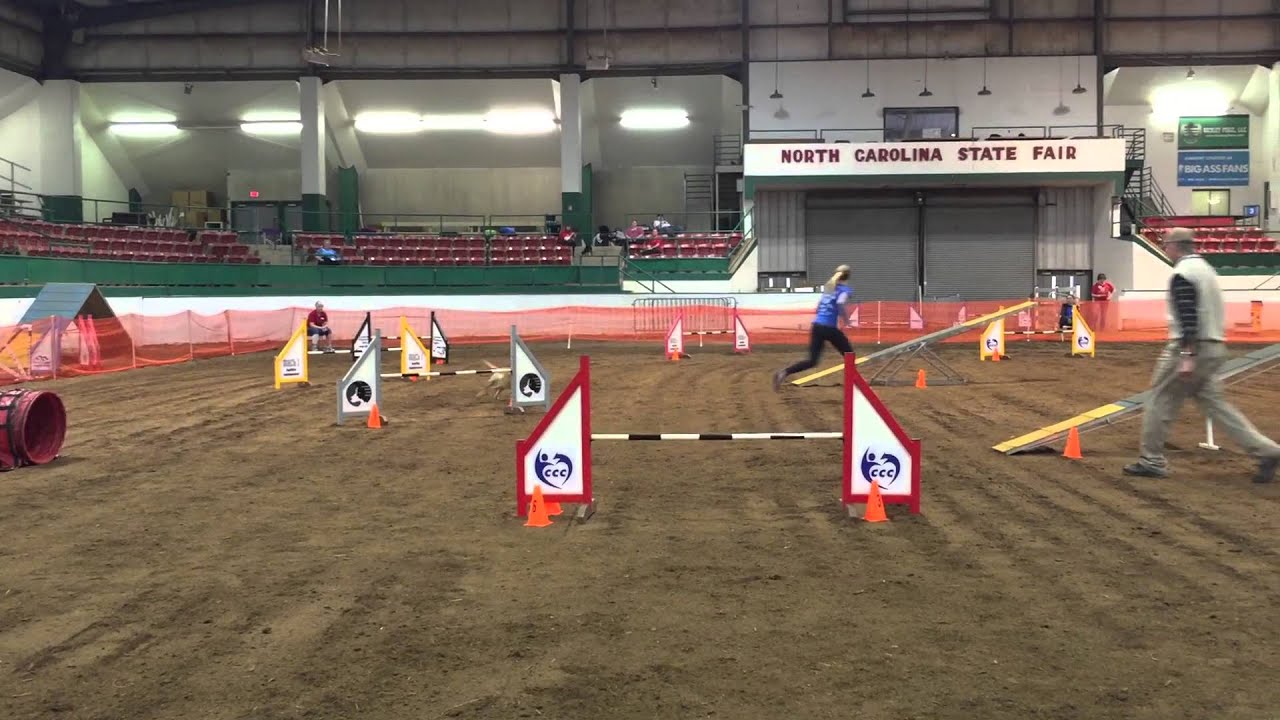 Carolinas Championship Challenge Dog Agility Competition in Raleigh YouTube