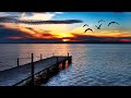 Relaxing Sleep Music • Deep Sleeping Music, Fall Asleep Fast, Soft Piano Music, Nature sounds