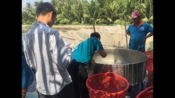 CÔNG TY NEWHOPE VĨNH LONG