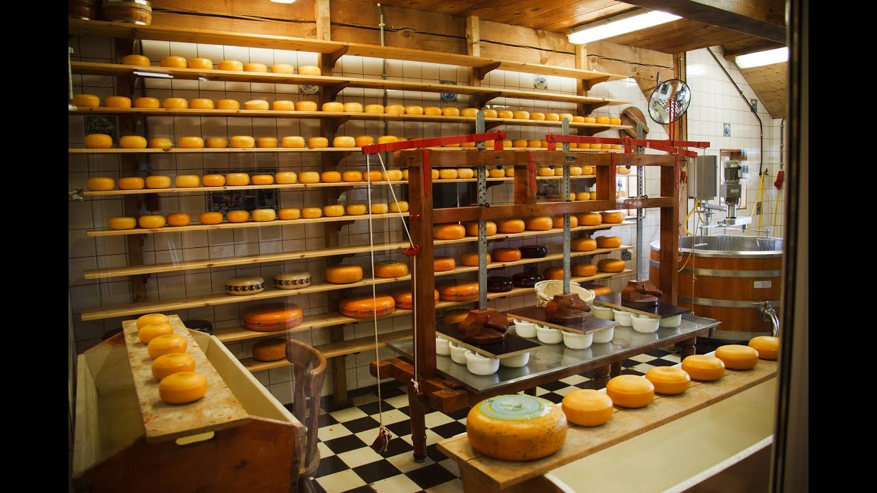 Industria lechera en Holanda, parte 1 - Alimentos y Regiones -