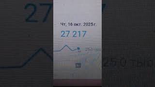 27 217 просмотров было в Четверг 16-ого Октября 2025 года