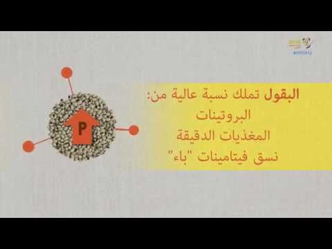 ما هي البقول وما أهميتها للأمن الغذائي