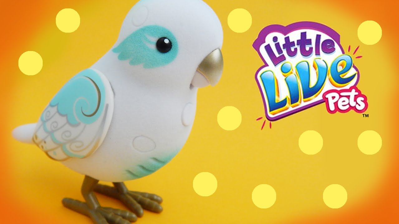 little life pet bird