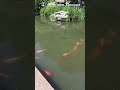 парк белой пагоды Китай