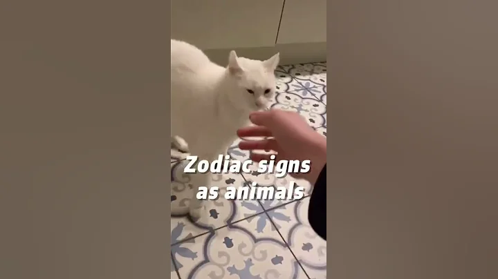 Zodiac Signs as Animals 🐶🐈 - Zodiac Signs Tiktok #Shorts