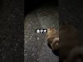 めっちゃ驚いてて草#チャレンジムービー #当たり動画