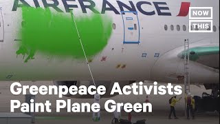 Activists Paint Plane Green to Urge Air Traffic Reduction