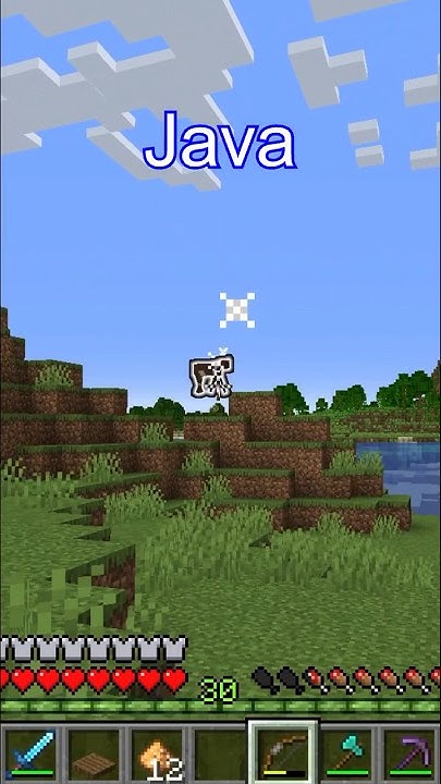 Did you know this difference between Minecraft Java and Minecraft ...