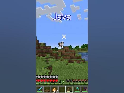 Did you know this difference between Minecraft Java and Minecraft ...