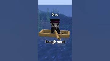The RAREST username in Minecraft...