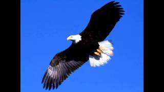 Moira Kerr_Where Eagles Fly