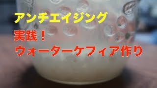【実践】ウォーターケフィアの作り方