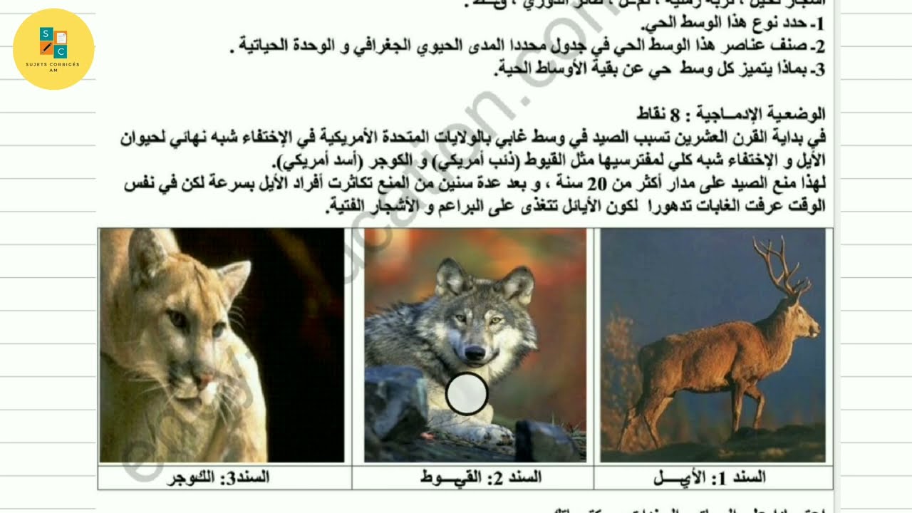 فرض الفصل الأول علوم طبيعية سنة ثانية متوسط.