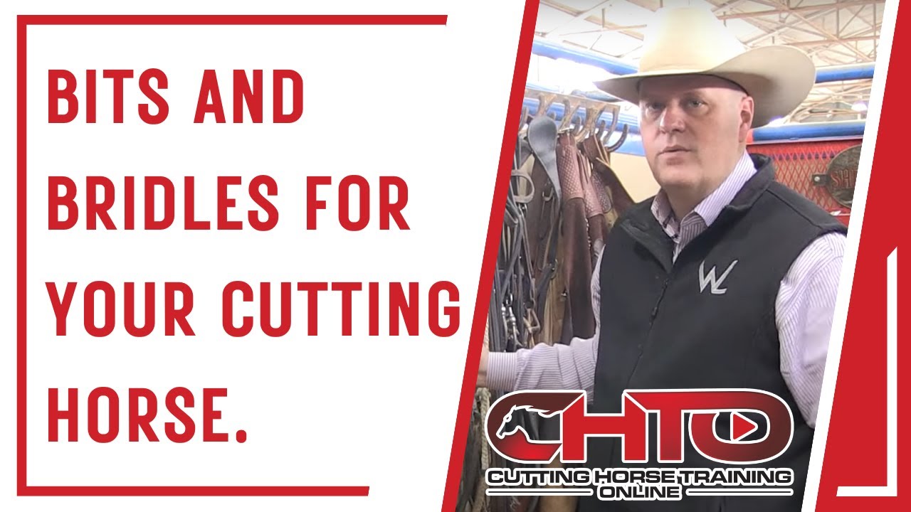 Bits And Bridles For Your Cutting Horse.