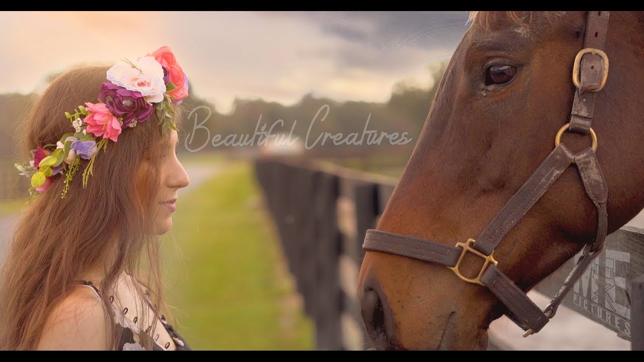 BEAUTIFUL CREATURES  "AMAZING GALLOPING HORSE"