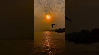 Sunset River View 🕊️✨ | Peaceful Nature Vibes | Cinematic Aesthetic Reel | Dreamwave_Lofii