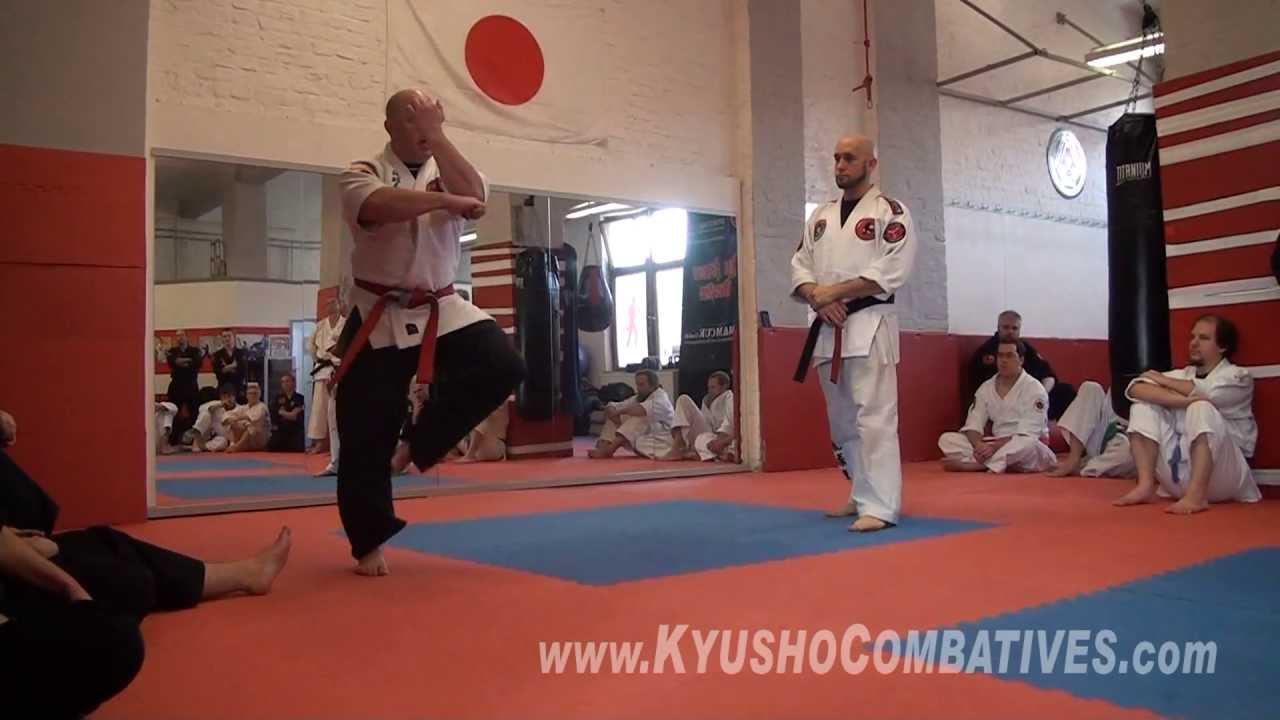 Dustin Seale's Kyusho Combatives - Naihanchi Bunkai (from Berlin, Germany Seminar)