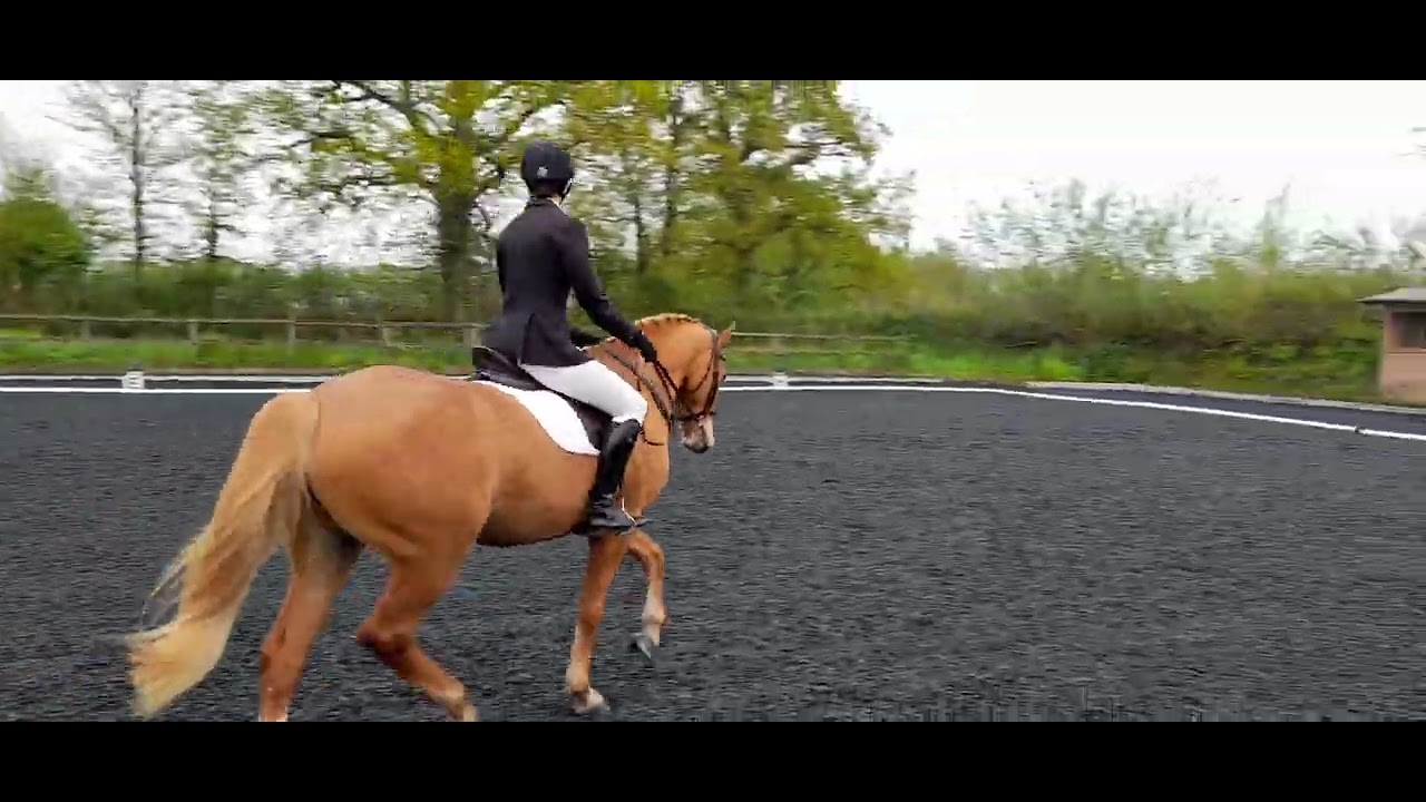 Wellbeck 2022 Intro C 68.69% 3rd