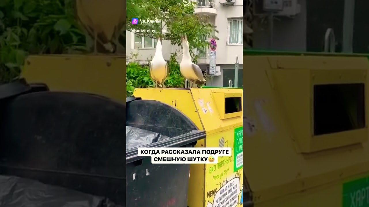 Блин, смешно 🤣 до слёз 😂