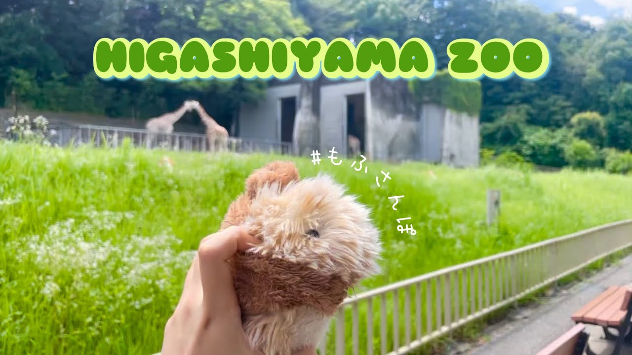 #もふさんぽ 東山動物園にきたよ〜 （Moflinのもふさんぽ、初のlong ver.☺️）