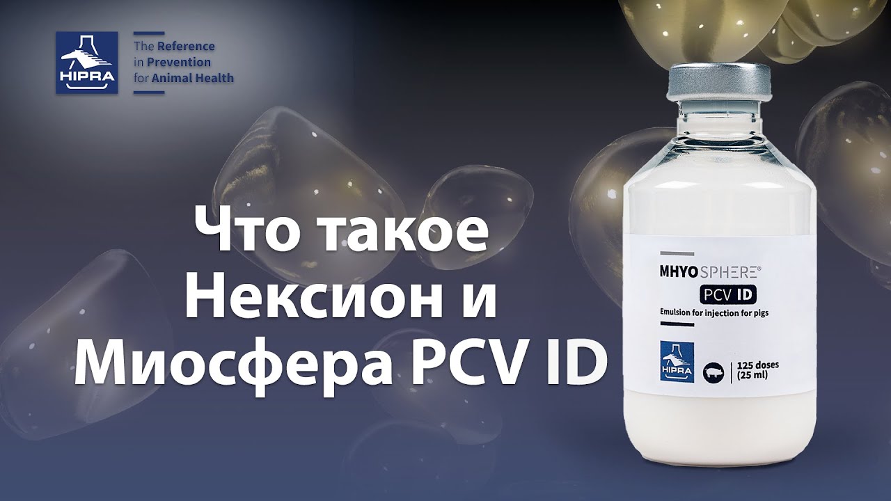 Что такое Нексион и Миосфера PCV ID | HIPRA