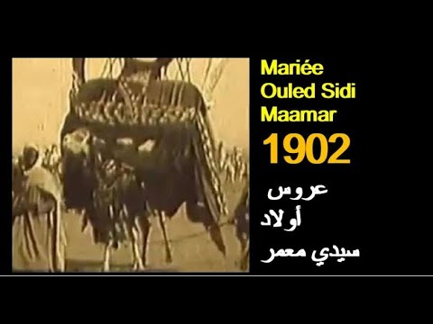       الجزائر موكب عروس الأولاد سيدي معمر