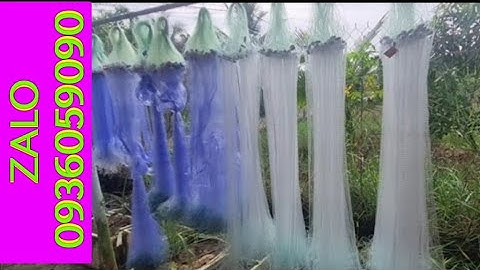 Bán lưới cá lòng tong 0936059090, lưới cá kèo, lưới cá lìm kìm, lưới cá cơm. ship toàn quốc.