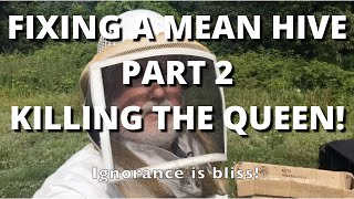 MEAN BEES, Fixing a mean hive Part 2