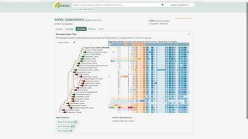 07 Find the rice ortholog of a sorghum MSD2 gene in Gramene