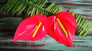 БОЛЬШИЕ ТРОПИЧЕСКИЕ ЦВЕТЫ. Антуриум из фоамирана БОЛЬШИЕ ТРОПИЧЕСКИЕ ЦВЕТЫ. Антуриум из фоамирана