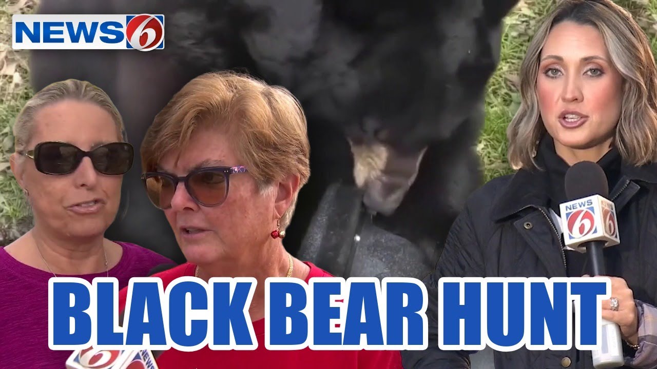 Why we may not learn how many Florida black bears have been hunted just yet