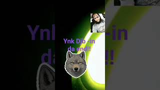 ynk Djb