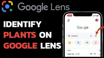How to Identify Any Plant Using Google Lens? Discover Plants Around You with Google Lens