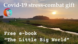 FREE e-book The Little Big World - Covid-19 stress-combat gift