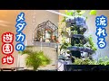 そうめんスライダー庭園にドールハウス水槽を繋げたら遊園地みたいに楽しくなった【アクアリウムDIY】aquarium