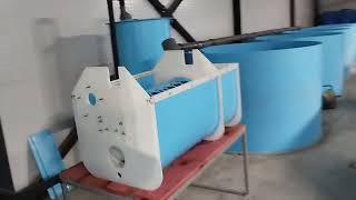 видео: УЗВ в городе Воронеж производительностью 10 тонн осетра в год. картинка: УЗВ в городе Воронеж производительностью 10 тонн осетра в год.