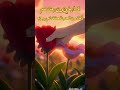 زهرتان تكشفان سر البشر الوفاء لا يذبل