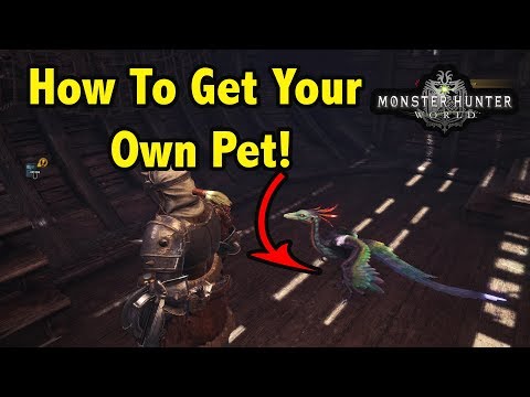 Monster Hunter: World - How to Catch Pets For Your Home - Gameranx