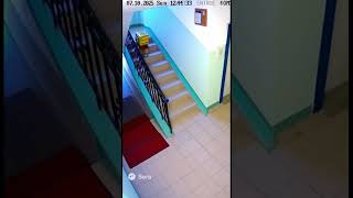 «Когда курьеры заняты, на помощь приходит он — самый ответственный доставщик! 🐶