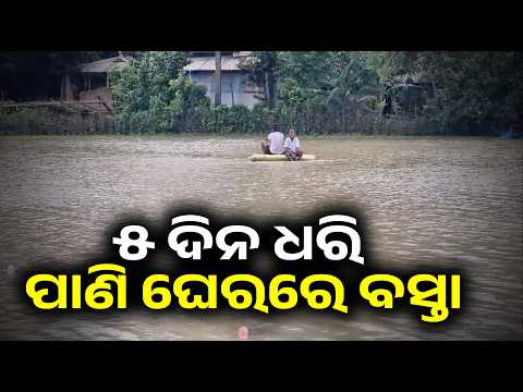ଜଳକା ନଦୀର ବିପଦ କମିଲା, କିନ୍ତୁ ବସ୍ତାରେ ଚାଷୀଙ୍କ ଦୁଃଖ ବଢ଼ିଲା | Knews Odisha