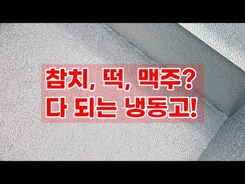 업소용 초저온 냉동고! 참치, 떡, 살얼음 맥주까지? 포쿨 142L 냉동고 리뷰