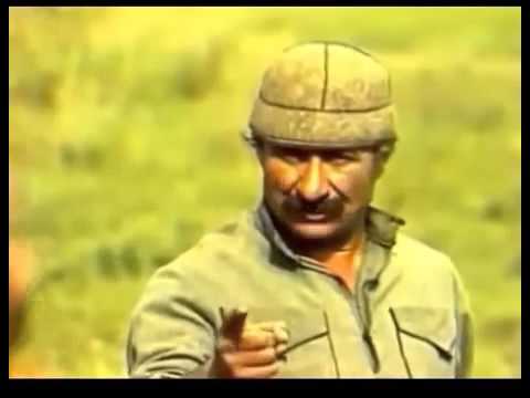 უსტუმართმოყვარეო ქვეყნის ამბავი