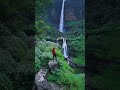 Natural green