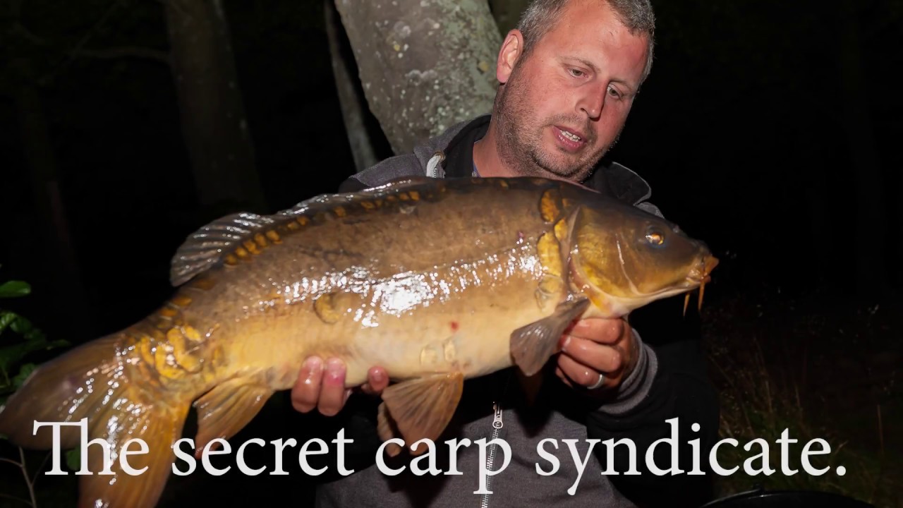 The secret carp syndicate -Strixphoto 2018