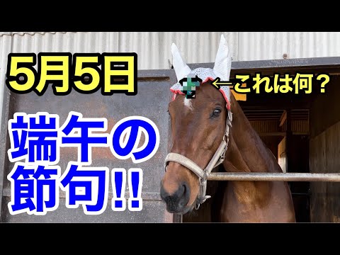 5月5日は端午の節句‼︎