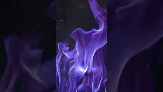 Purple Fire Animated live wallpaper - Animated background wallpapers loops videos
