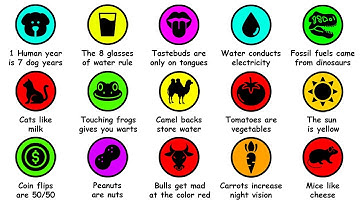 Every Common Misconception Debunked in 6 Minutes