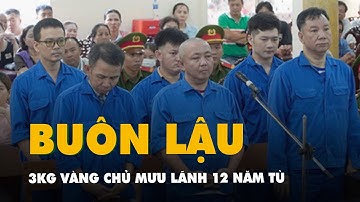 Vụ buôn lậu 3kg vàng ở An Giang: Chủ mưu lãnh 12 năm tù