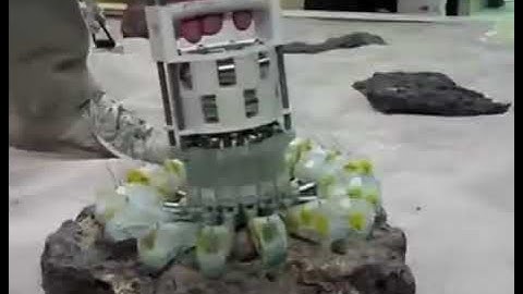 NASA’s robotic arms can grip heavy, fragile, and oddly shaped objects in zero gravity.