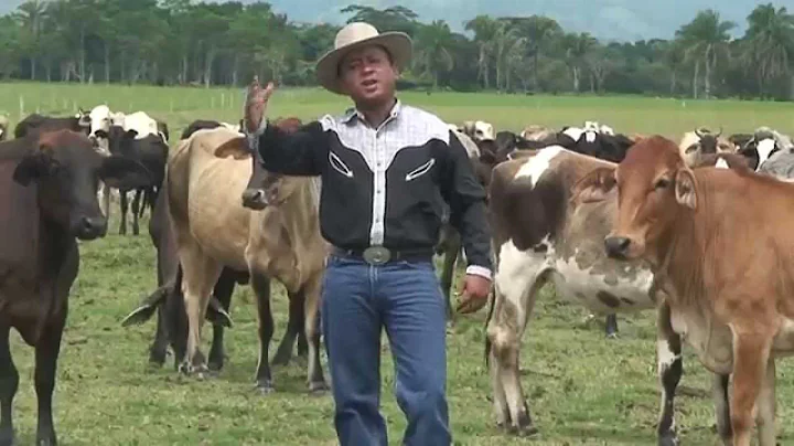 Jose Albarran El Grillo de Palmarito - As se forma...